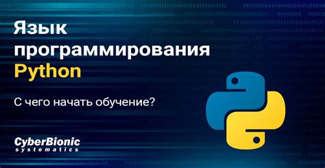 Основы и работа скрытого мониторинга в приложении на языке программирования Python