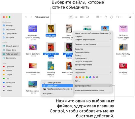 Особенности выбранного приложения для просмотра файлов в формате PDF