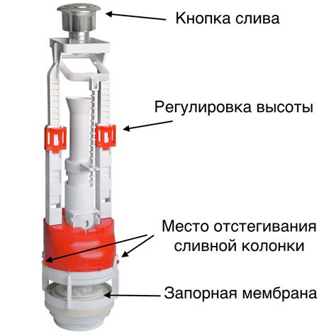 Особенности и характеристики различных моделей кнопок для сливных бачков