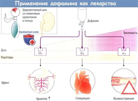 Особенности люминофора и его механизм действия