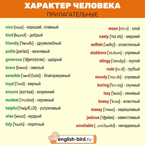 Особенности перевода слова "штаны" на английский