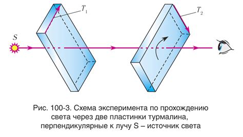 Особенности поляризованного света