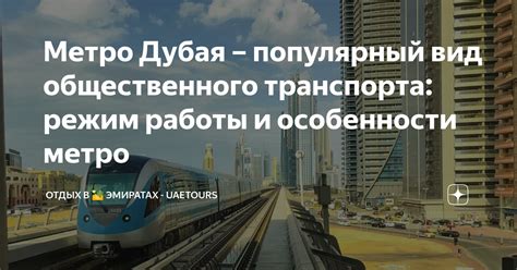 Особенности функционирования общественного транспорта