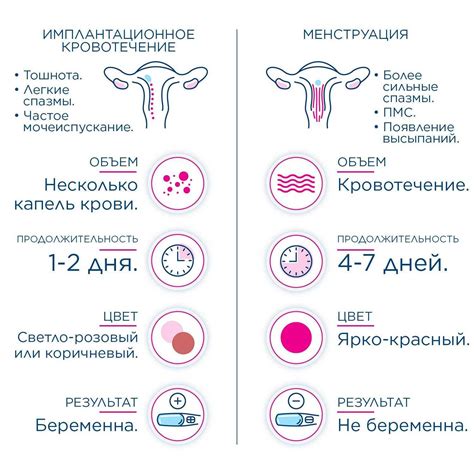 Отличительные признаки внутреннего кровотечения в матке и ежемесячных выделений