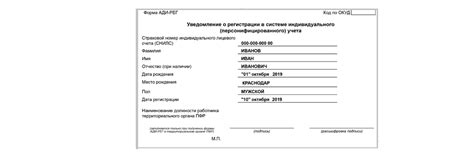 Отображение чеков и шапки документа в системе учета продаж "1С Розница 2.3"