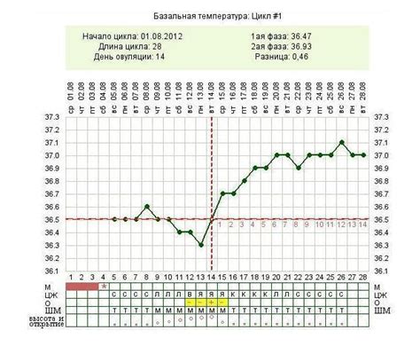 Отслеживайте изменения шейки матки для определения овуляции