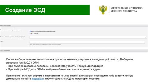 Оформление и подтверждение учётной записи на веб-платформе государственных закупок