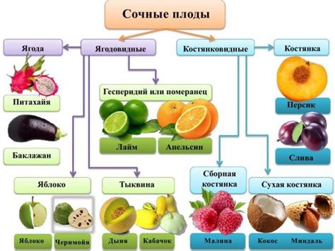 Оценка величины и формы плодов