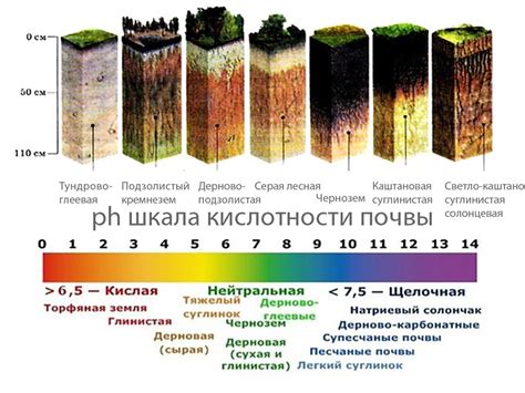 Оценка физического состояния почвы и выбор оптимальной глубины вспашки
