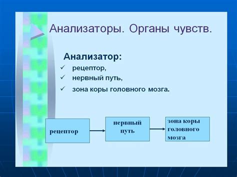 Ощущения и поверхность