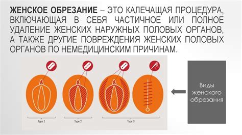 Периодическое обрезание и протирание ствола