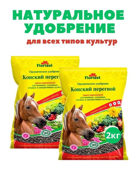 Питание почвы: эффективные способы обогащения и восстановления земли в садовом участке