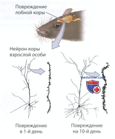 Повреждение зоны msdcs и его последствия