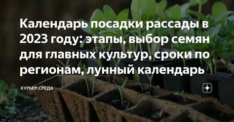 Подбор оптимального места для высадки кизила