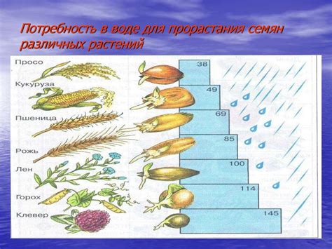 Подготовка и необходимые инструменты для проведения проверки семян в воде