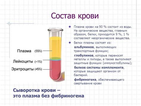 Подготовка и процедура сдачи анализа на состав плазмы крови: важные этапы и рекомендации