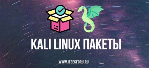 Подготовка системы: установка Kali Linux и обновление пакетов