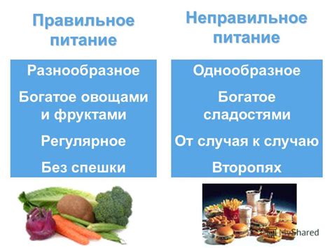 Поддерживайте правильное питание, богатое антиоксидантами