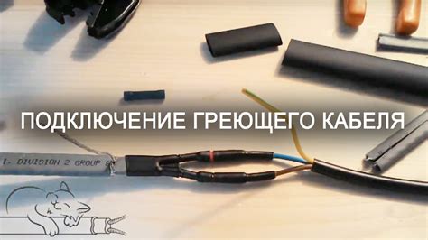 Подключение кабеля на смартфон: расширение функциональности