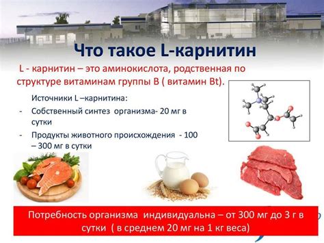 Подробно изучаем принципы действия л-карнитина на организм