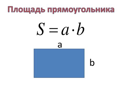 Понимание концепции площади прямоугольника