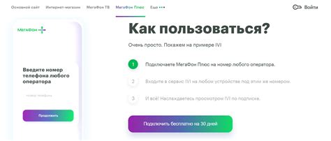 Понимание сущности МегаФон Плюс Персональный