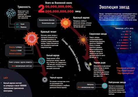 Популярные сферы деятельности и их эволюция на протяжении жизни