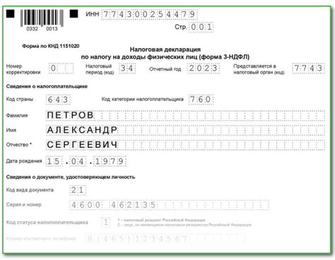 Последствия использования определенного кода в декларации по налогу на доходы физических лиц