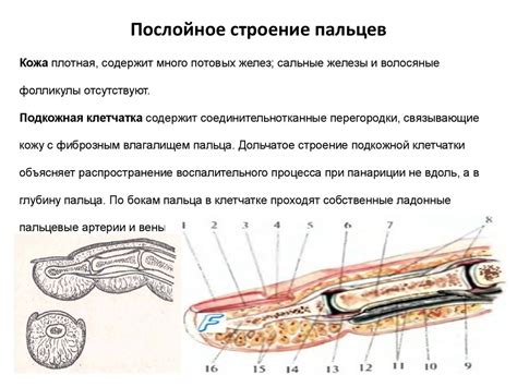 Последствия и осложнения разрезов указательного пальца