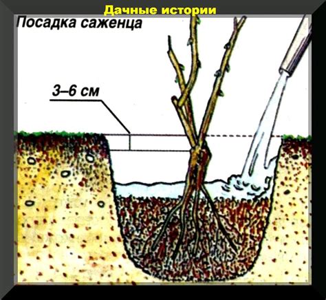 Последующий уход за мраморным монументом