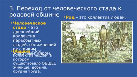 Преимущества и недостатки родовой общины и человеческого стада