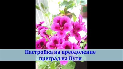 Преодоление преград на пути общей гармонии и методы достижения