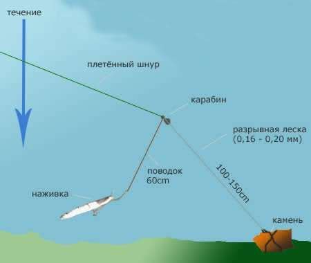 Привлекательные способы привлечения и привязки квоки для эффективной ловли сома