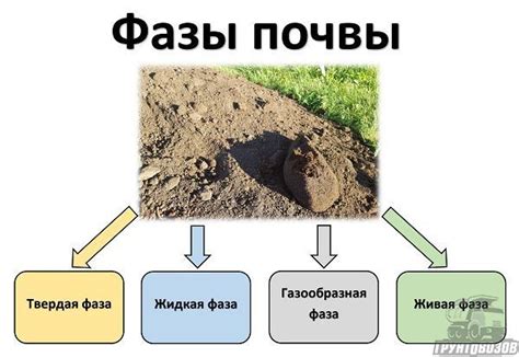 Приготовление почвы и основные требования к ее составу