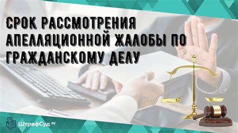 Приготовьтесь к апелляции: ключевые сведения о превентивных мерах