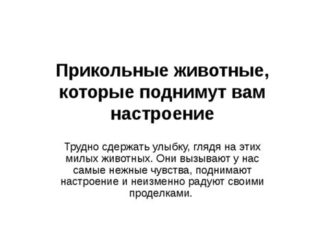 Прикольные истории, которые вызывают смех и поднимают настроение