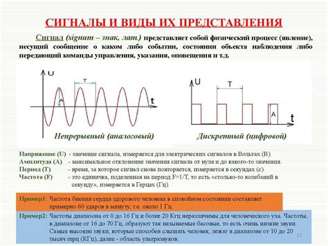 Применение Эдо Лайт в разнообразных сферах