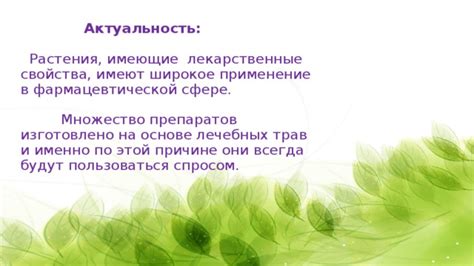 Применение специфического растения в сфере медицины