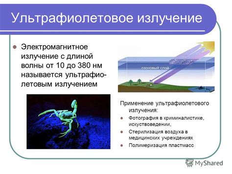 Применение ультрафиолетового облучения в борьбе с появлением водорослей в водоемах