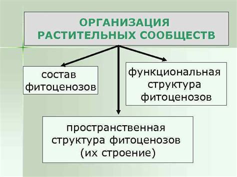 Примеры растительных семейств