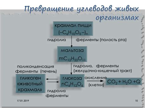 Принципиальное отличие органических и неорганических соединений