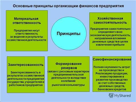 Принципы организации депозитной схемы в финансовой организации Вай Сити