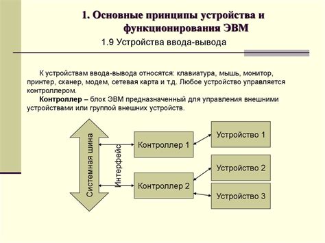 Принципы устройства и функционирования центра лесоторговли в Орле