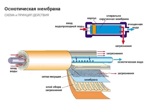 Принцип работы электрической установки для обработки сливок