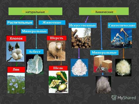 Природные и искусственные источники питания для пернатых обитателей прудов в осеннее время года