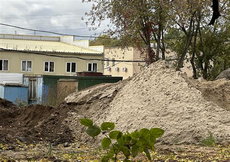 Причины, масштабы и последствия голодной трагедии