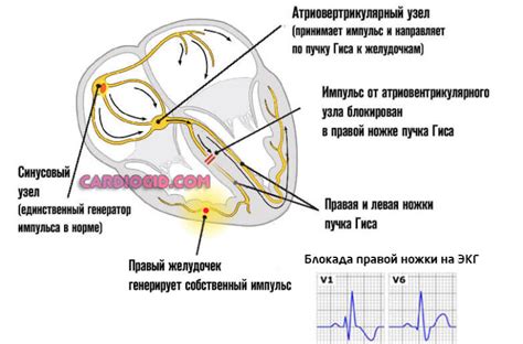 Причины давления 110 на 53