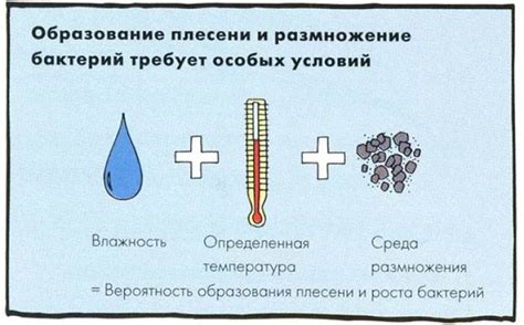 Причины образования плесени и способы ее распознавания