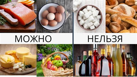 Причины появления насекомых, разрушающих продукты и продуктовые склады: