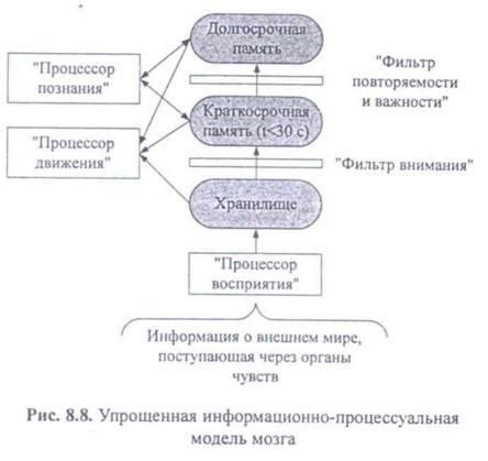 Проблемы с восприятием и обработкой сенсорной информации